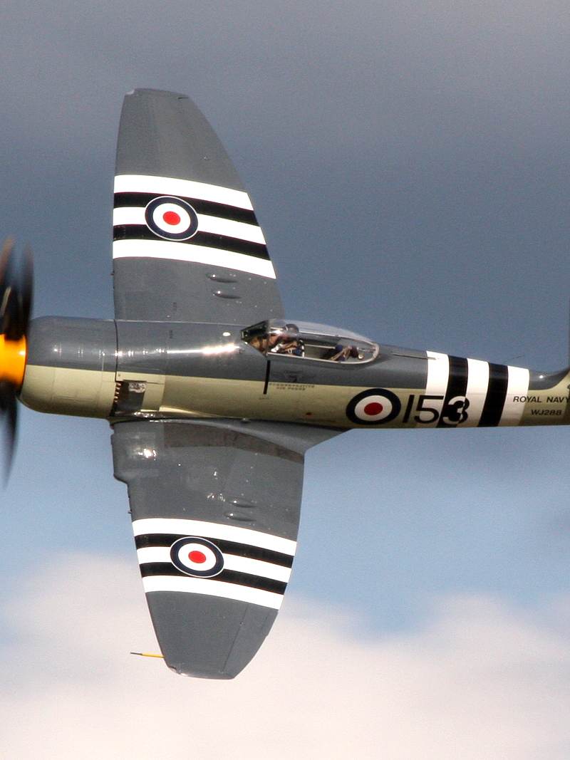  - Warbird