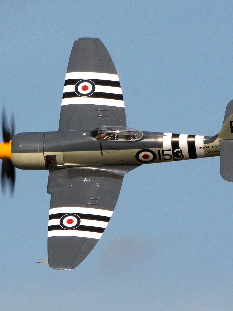  - Warbird