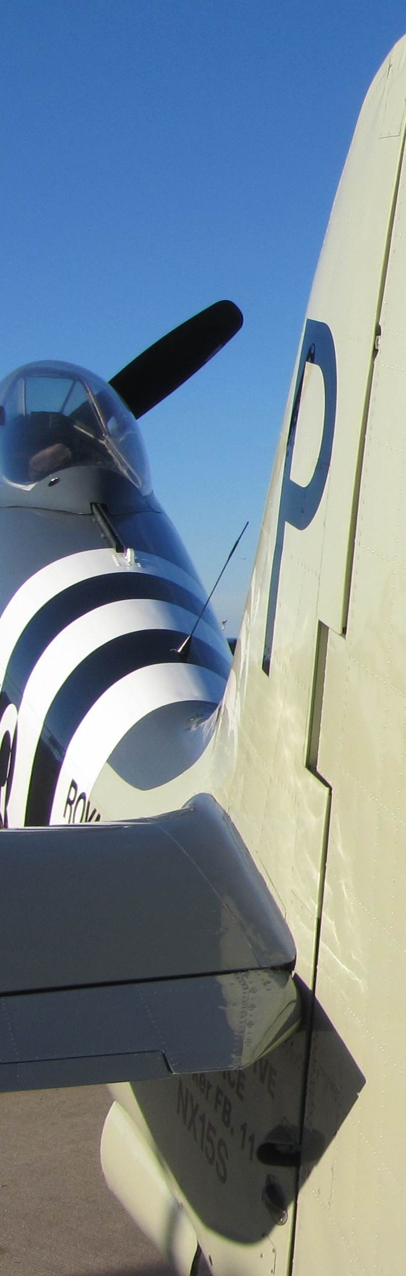  - Warbird