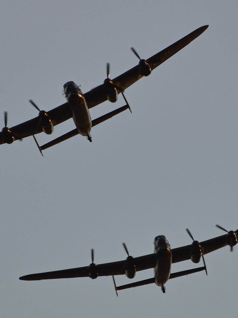 C-GVRA - Warbird