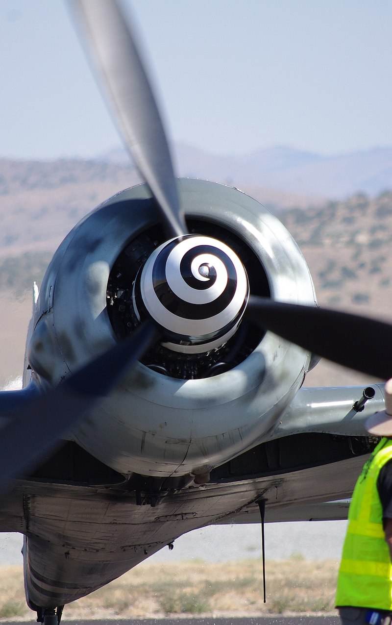  - Warbird