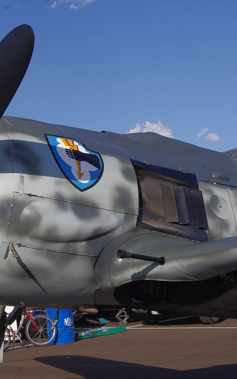  - Warbird