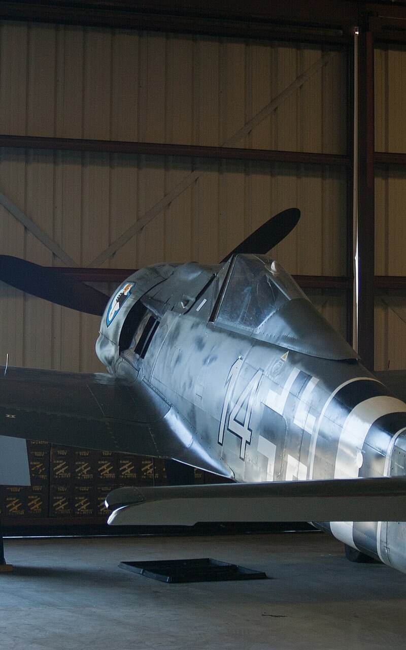  - Warbird