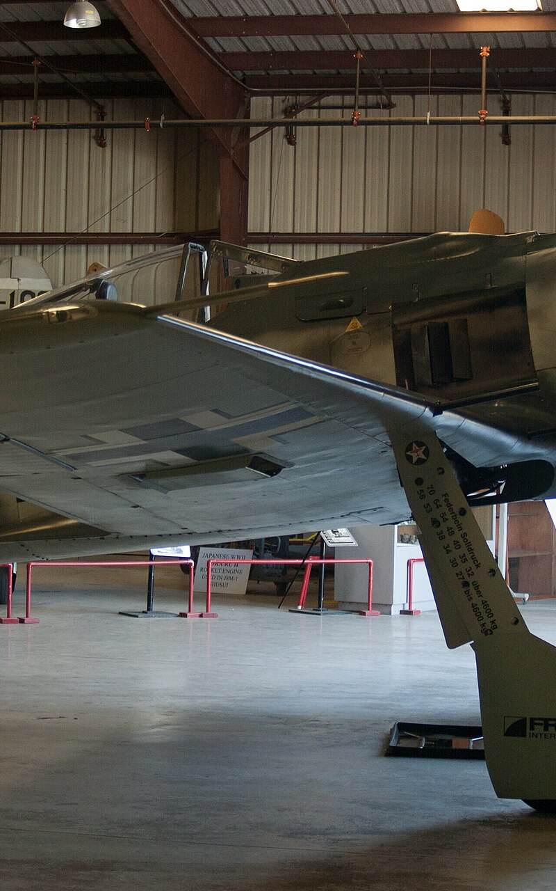  - Warbird