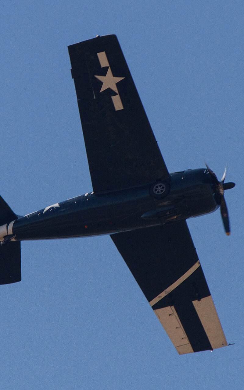  - Warbird