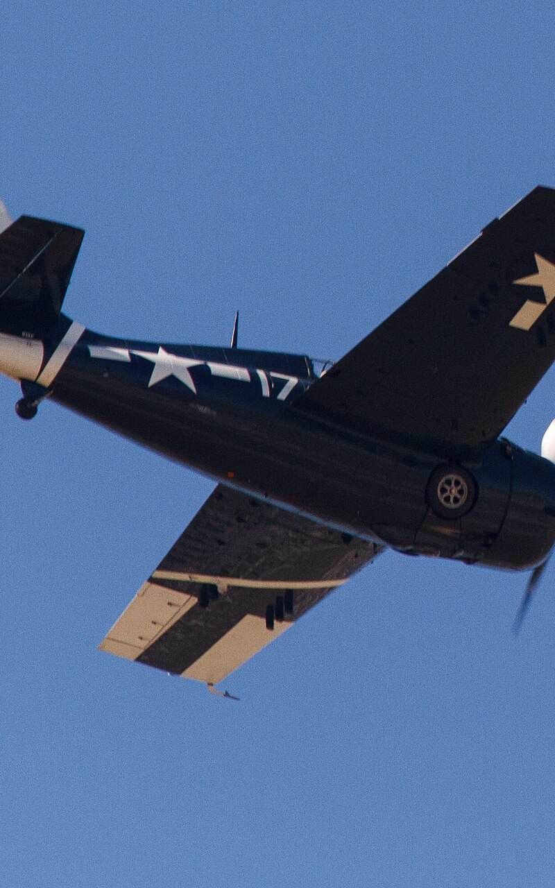  - Warbird