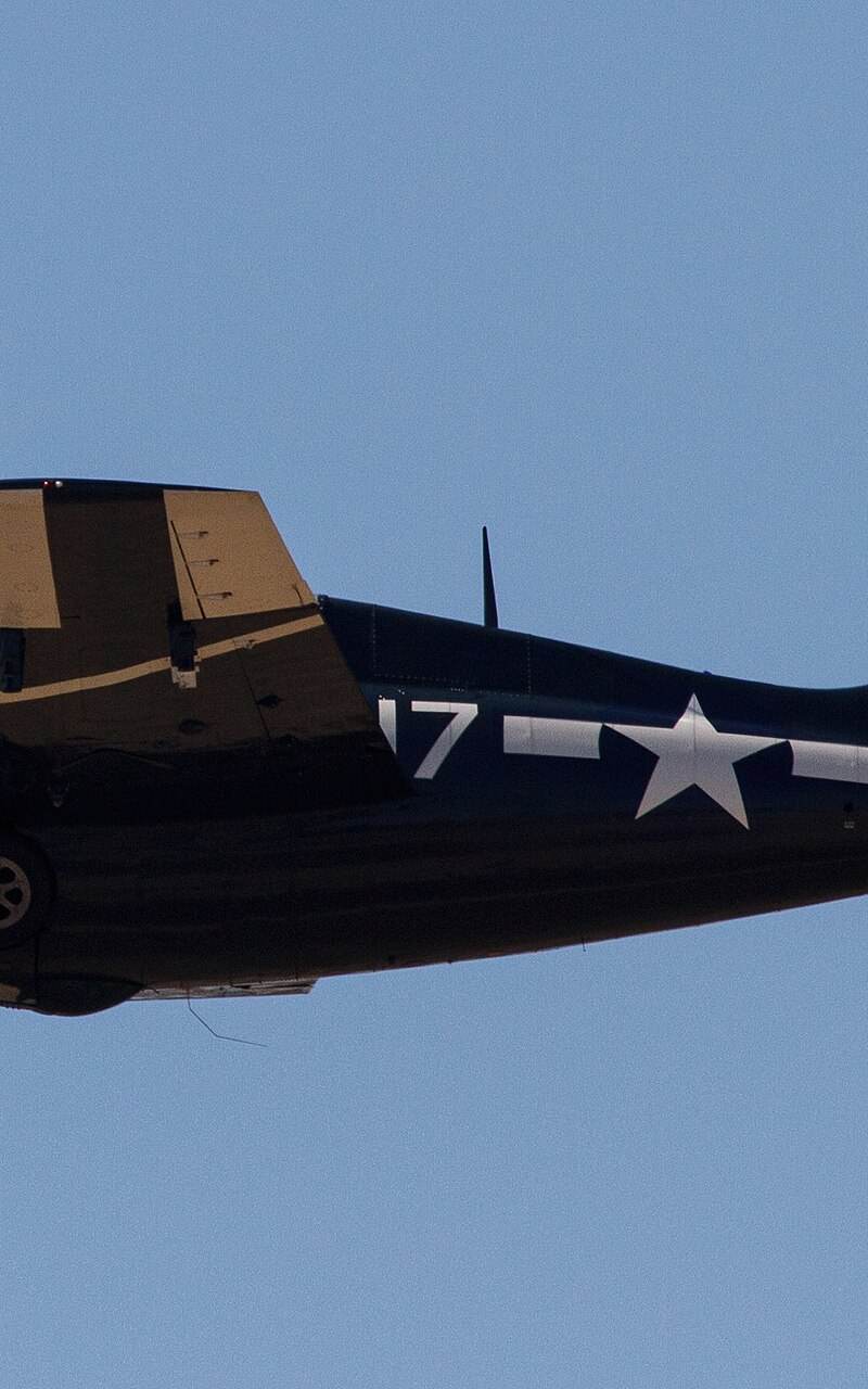 N18P - Warbird