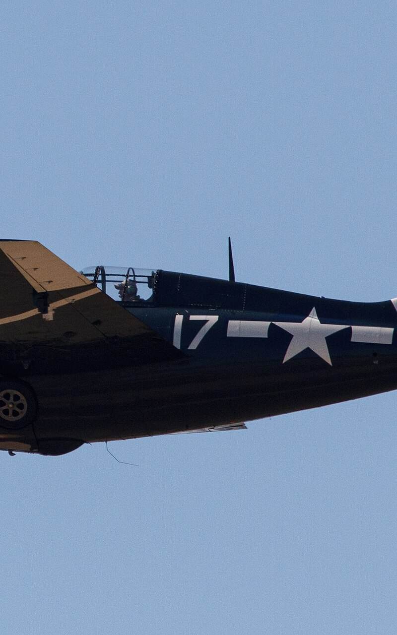  - Warbird