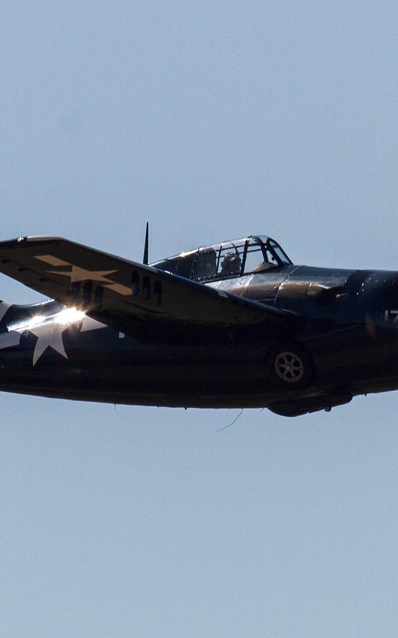  - Warbird