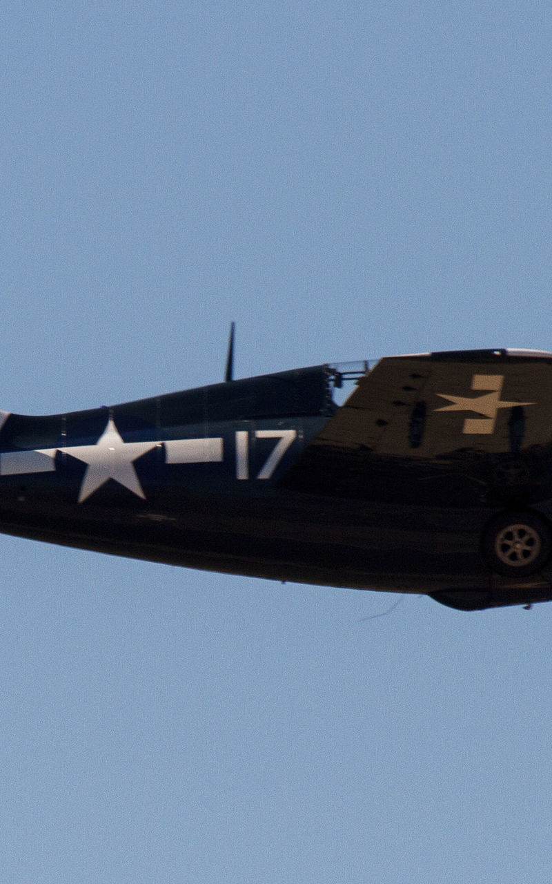  - Warbird