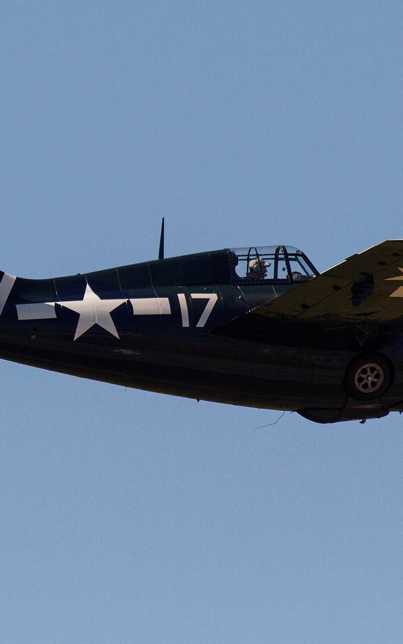  - Warbird