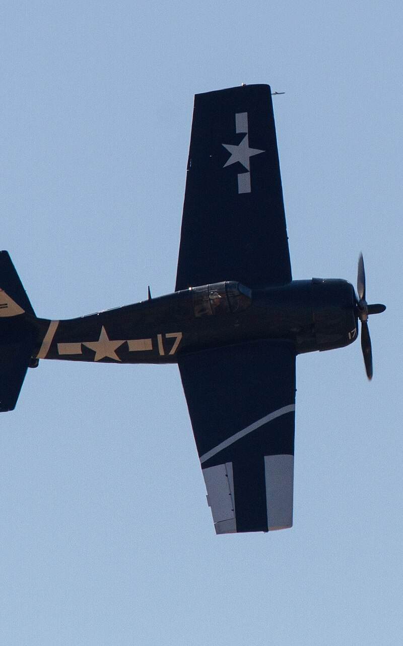  - Warbird