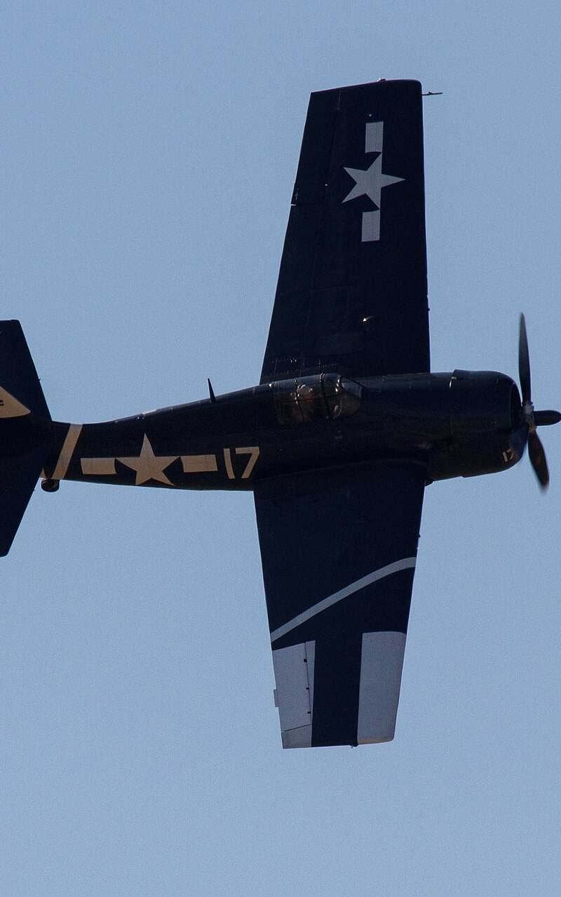  - Warbird