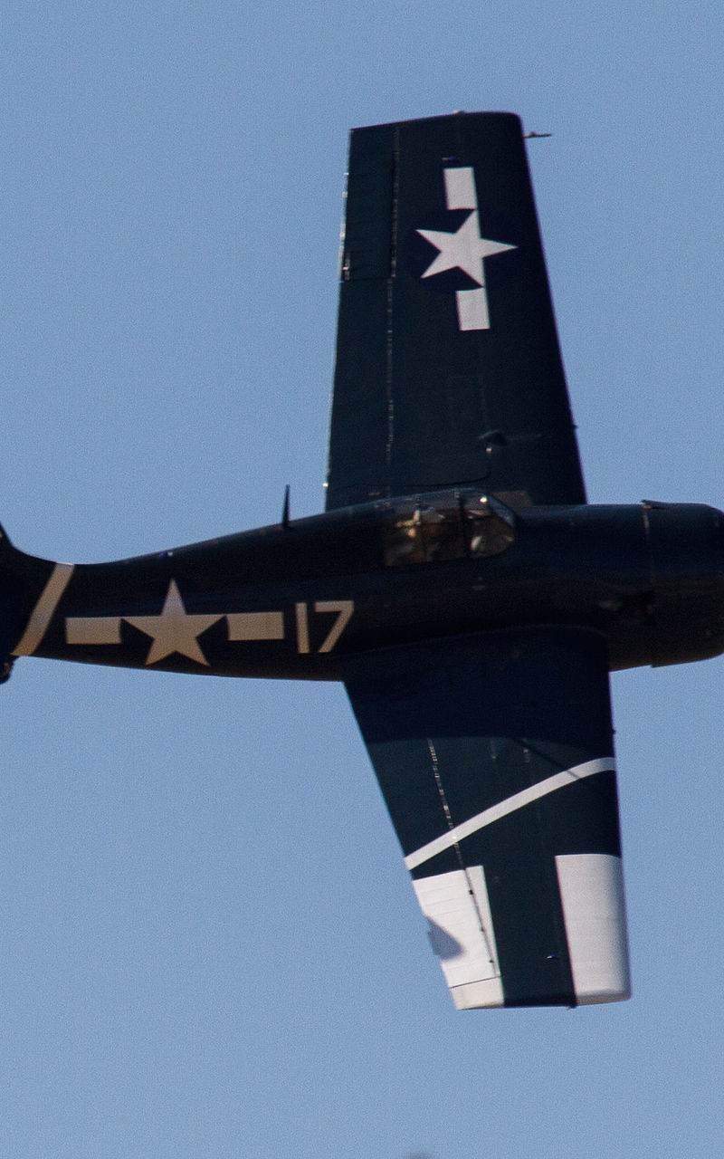  - Warbird