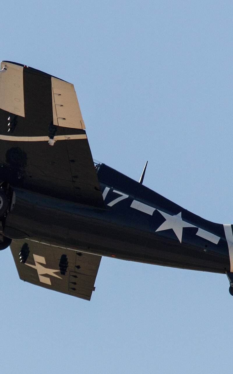 N18P - Warbird