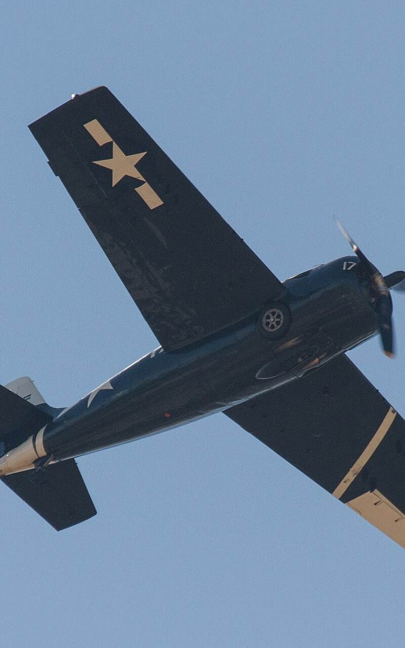  - Warbird