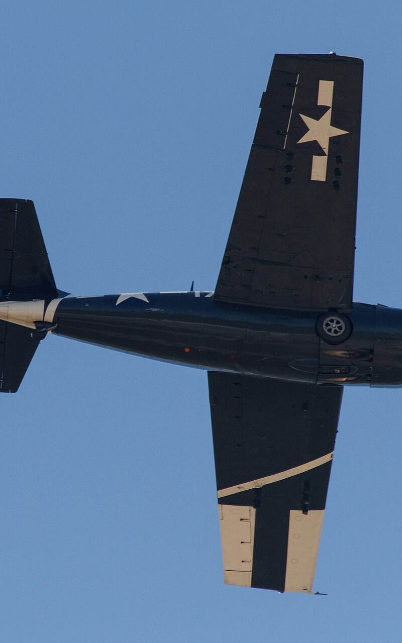  - Warbird