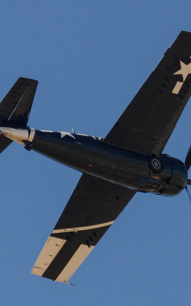  - Warbird