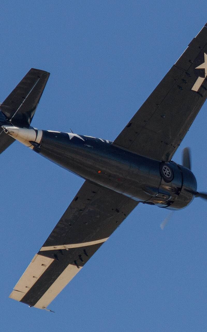  - Warbird