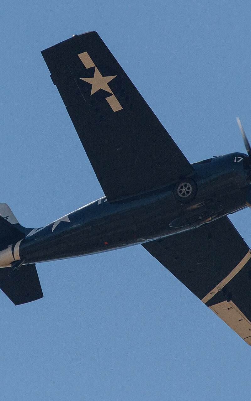  - Warbird
