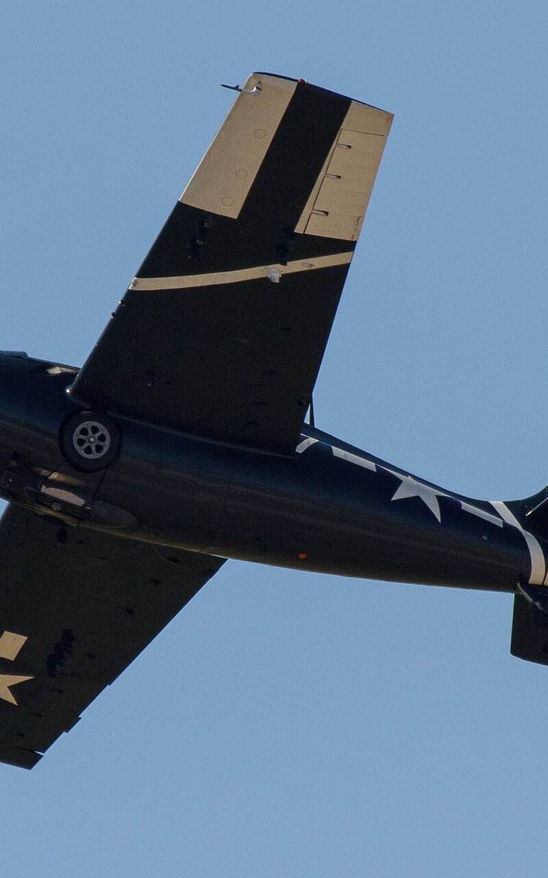  - Warbird