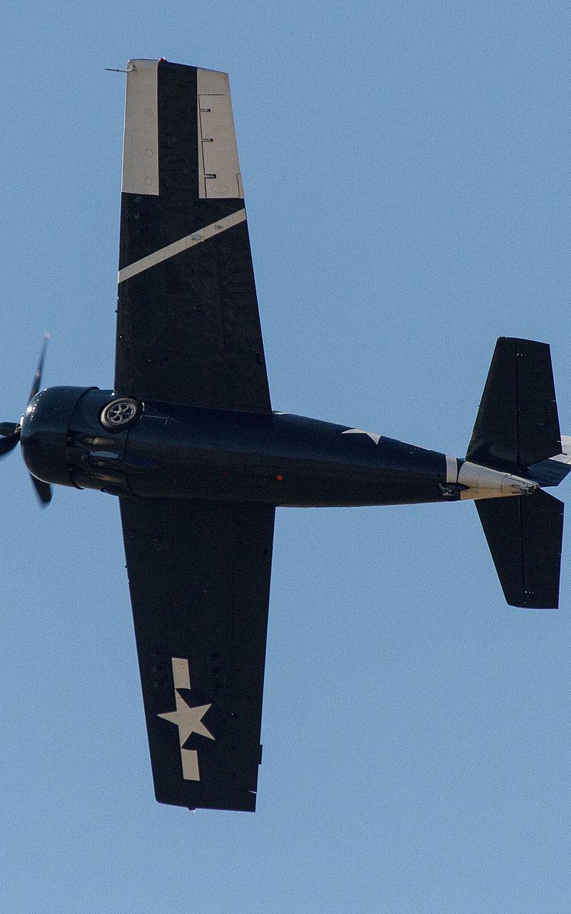  - Warbird