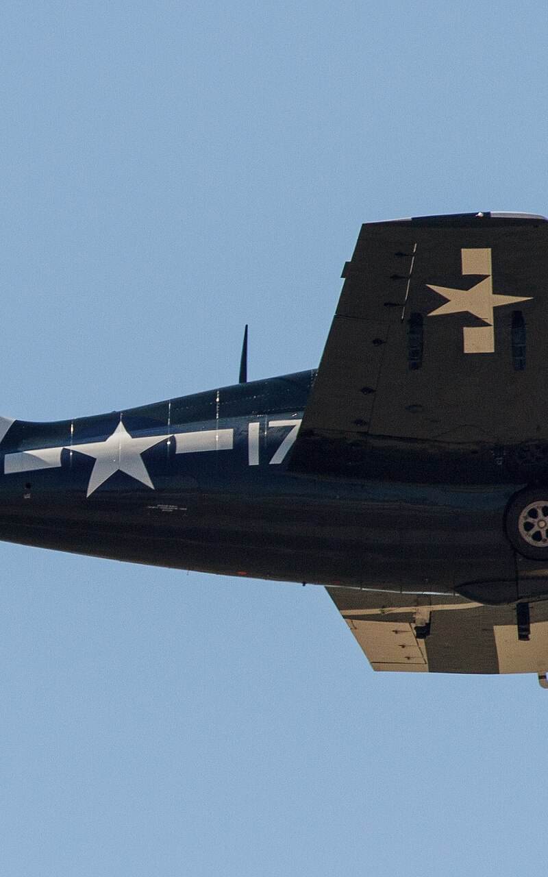  - Warbird
