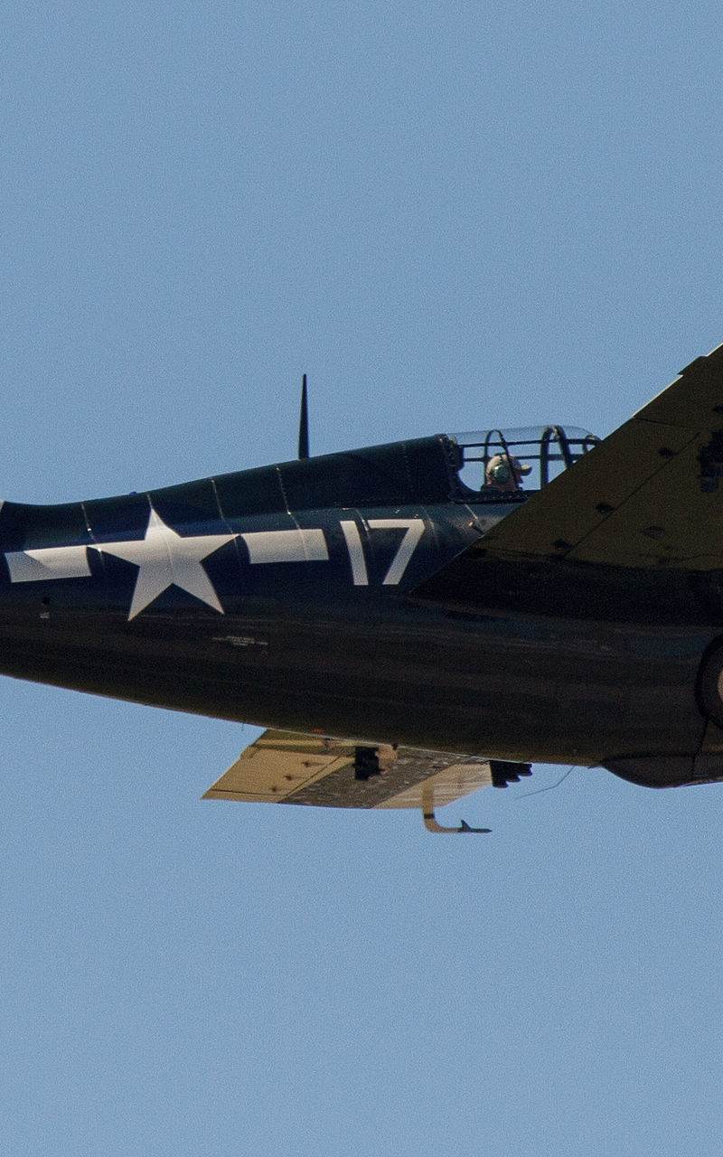  - Warbird