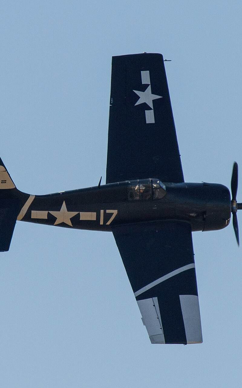  - Warbird
