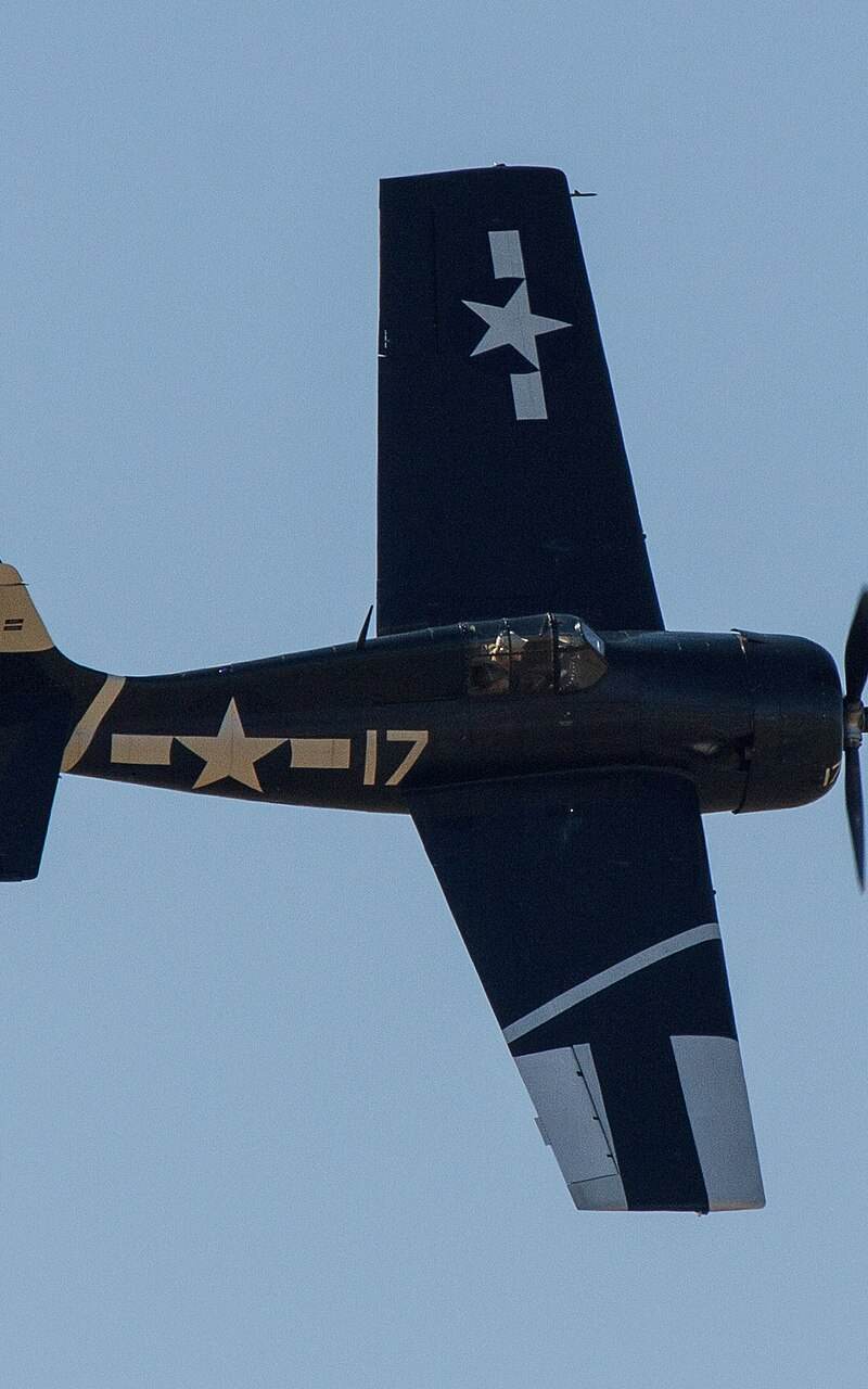  - Warbird