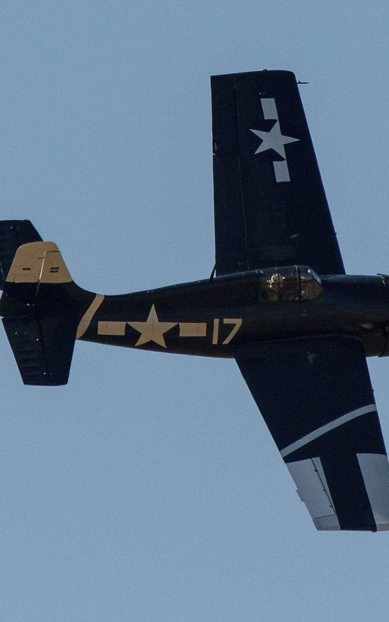  - Warbird