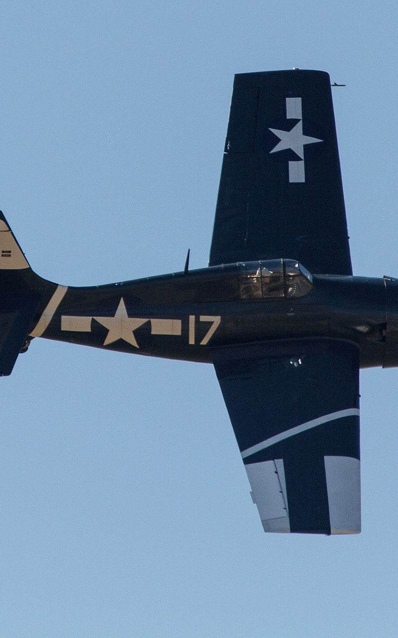  - Warbird