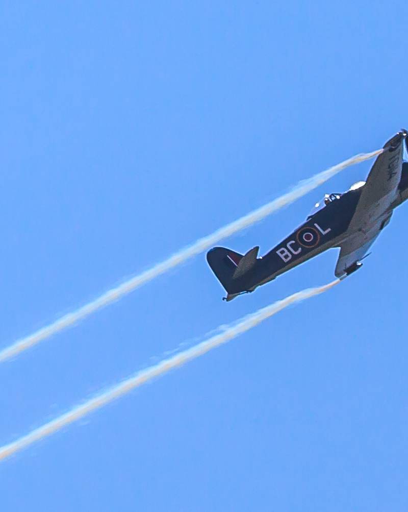  - Warbird