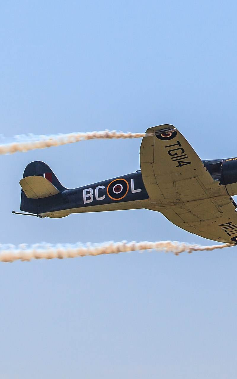  - Warbird