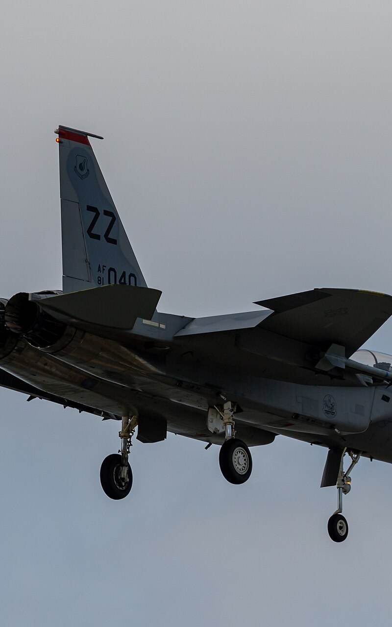  - Warbird