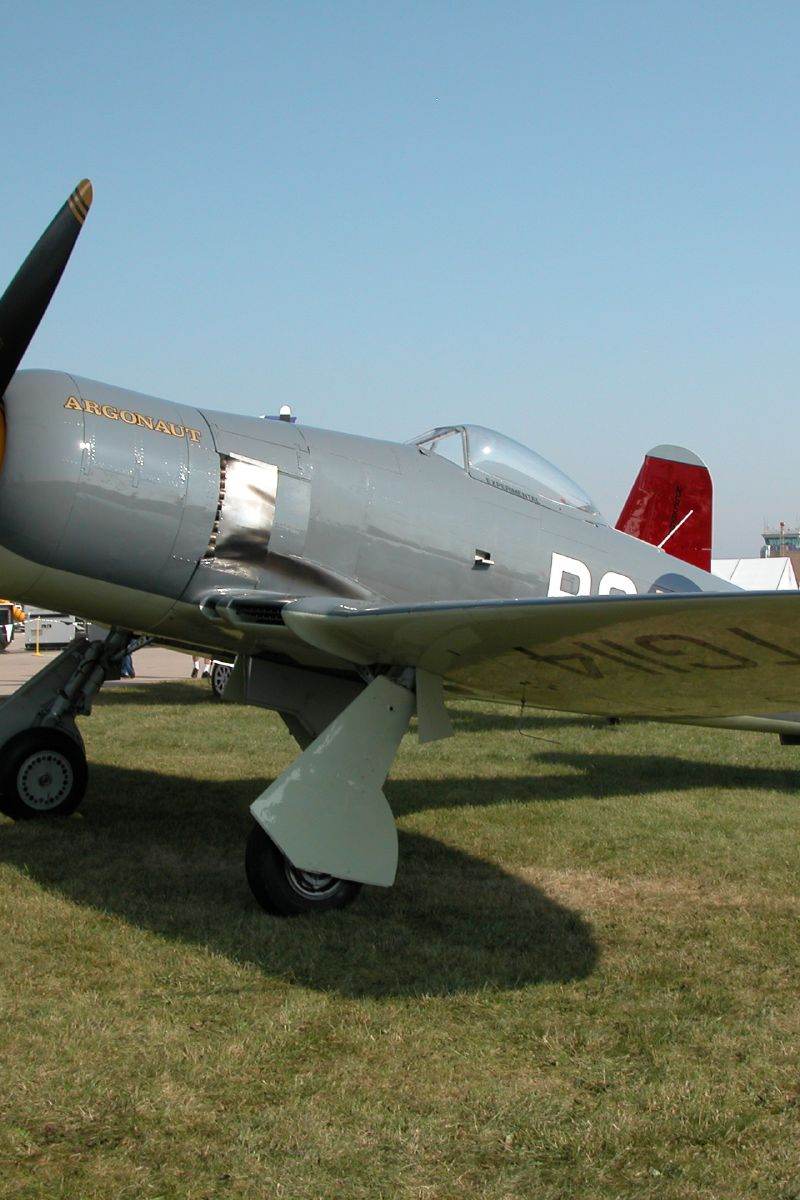 N19SF - Warbird