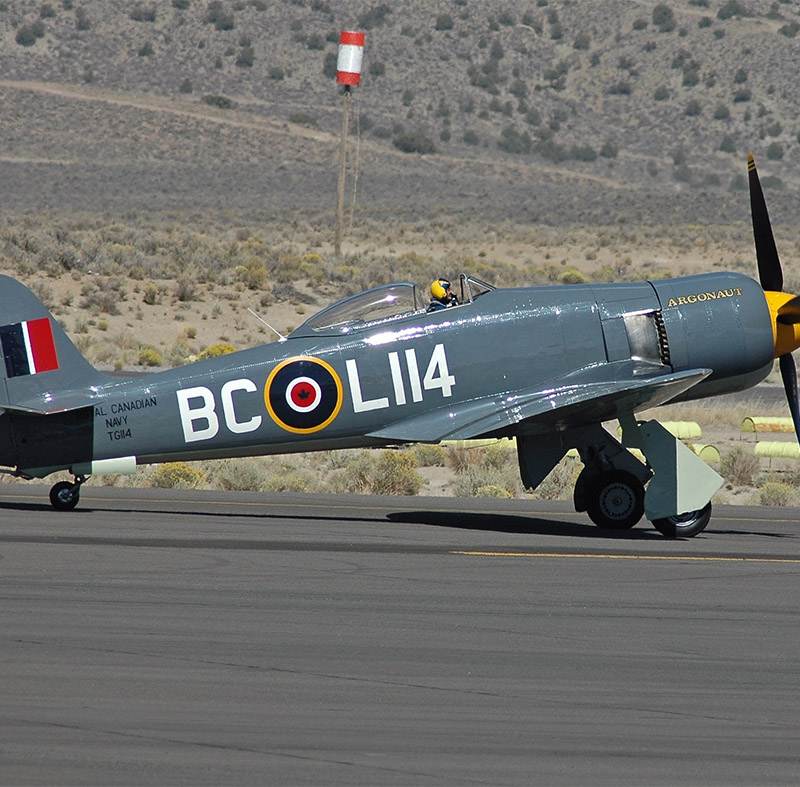  - Warbird