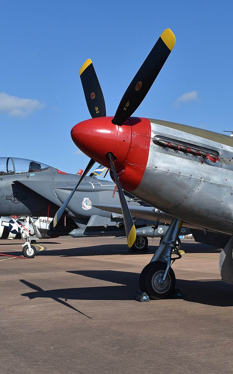  - Warbird