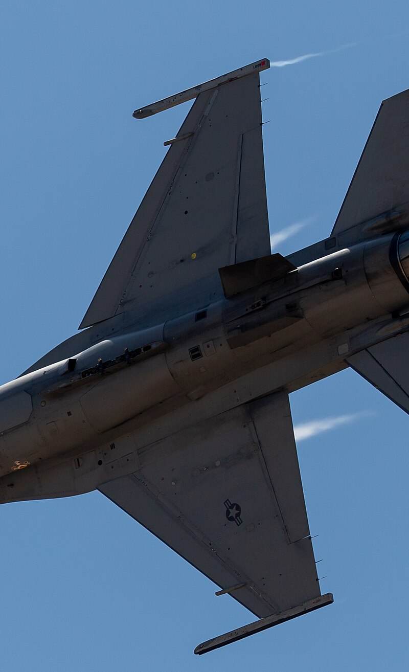  - Warbird