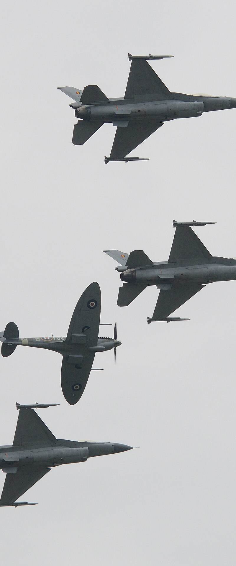  - Warbird