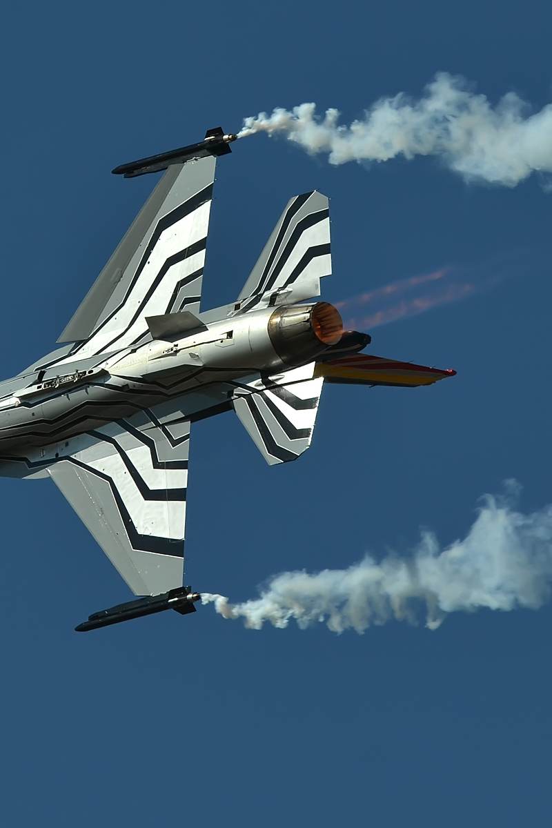  - Warbird
