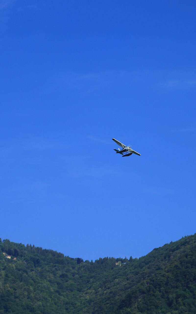 N206BJ - Single-engine aircraft