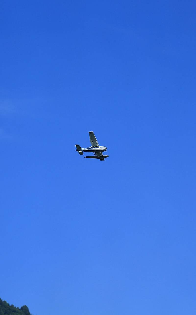 N206BJ - Single-engine aircraft