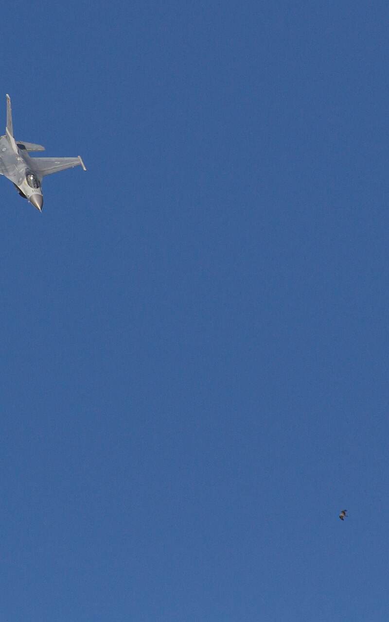  - Single-engine aircraft