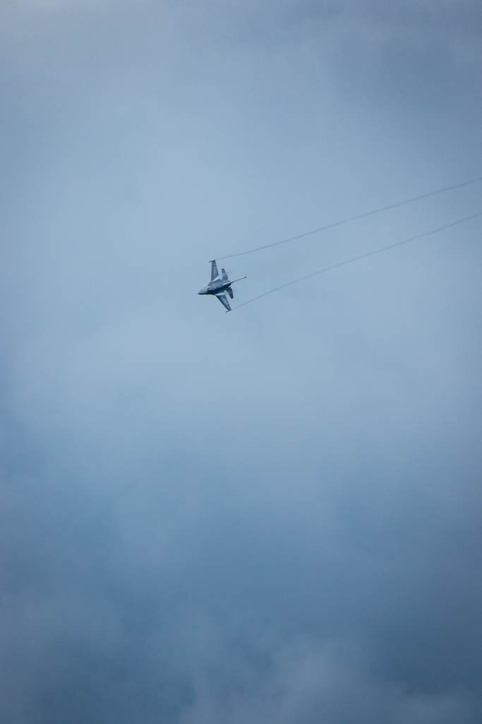  - Warbird