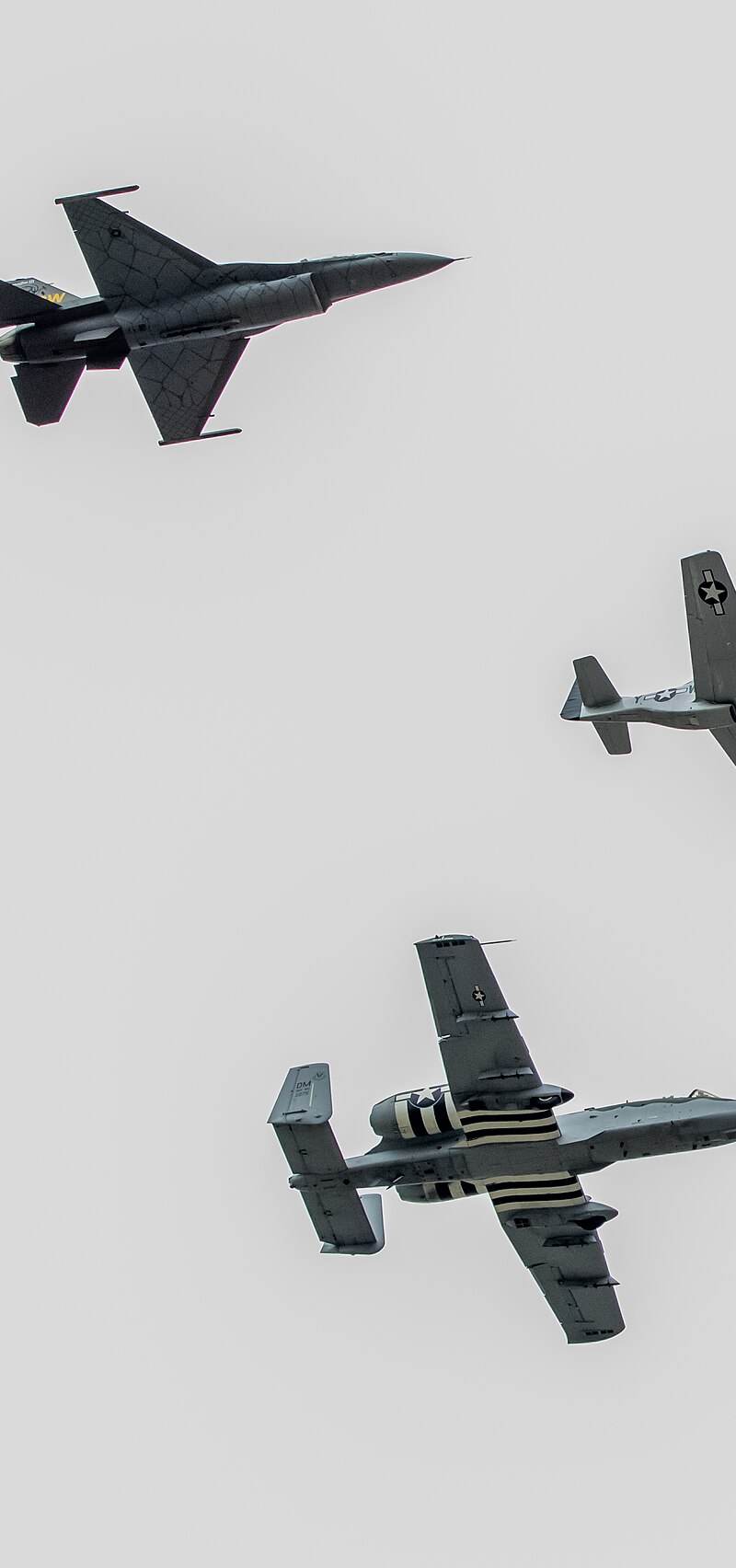  - Warbird