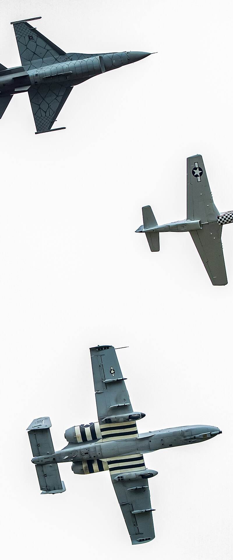  - Warbird