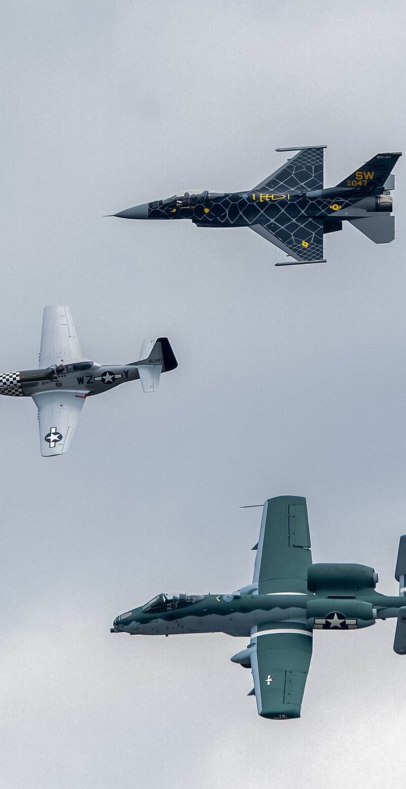  - Warbird