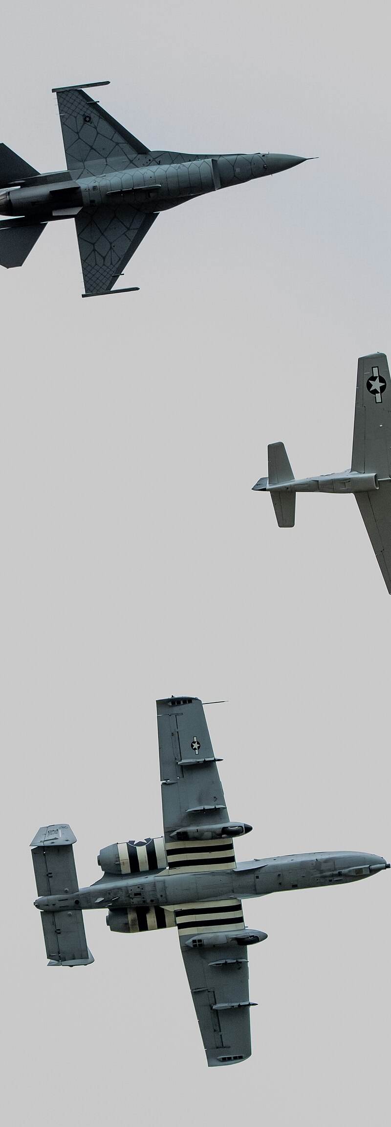  - Warbird