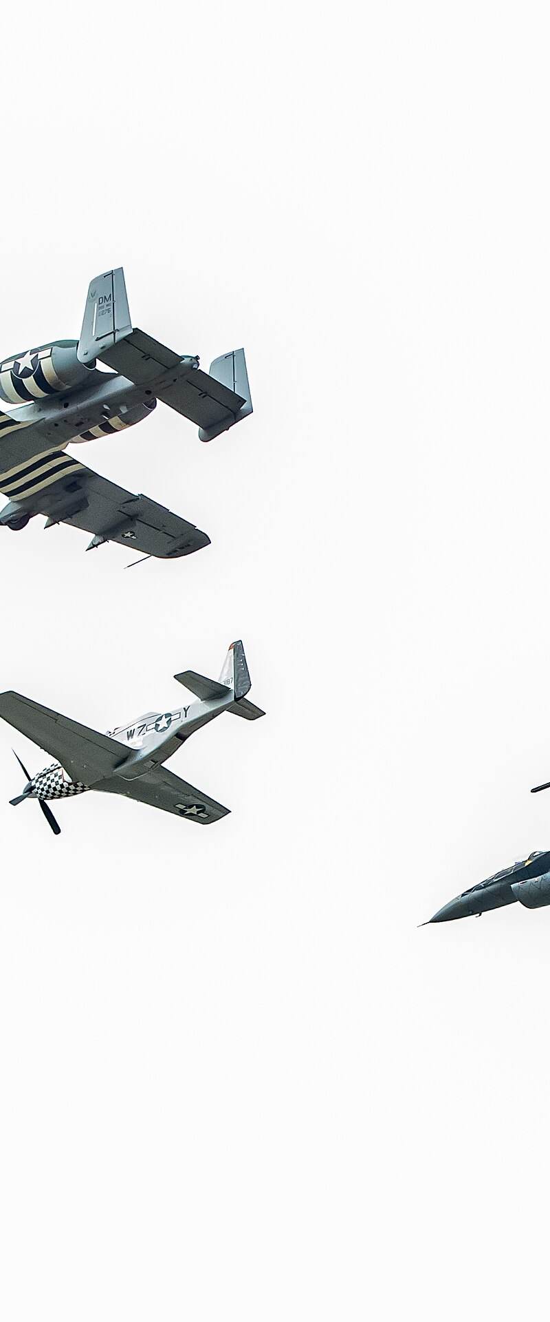  - Warbird